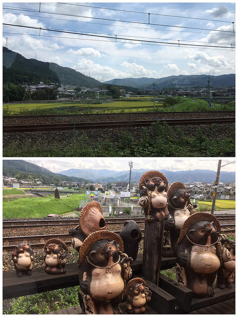 觀光火車