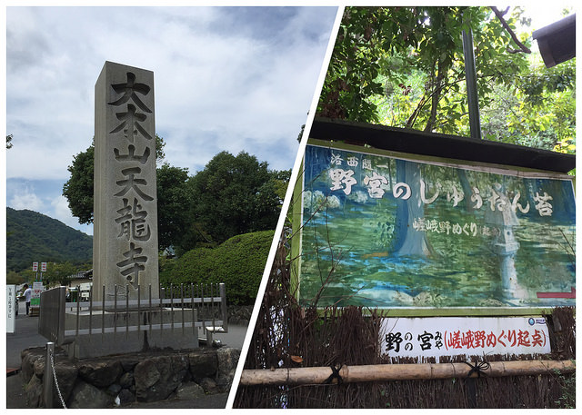 竹林2