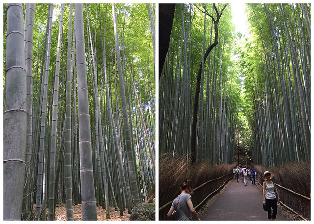 竹林