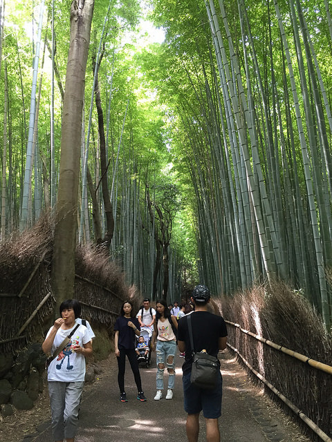 竹林3